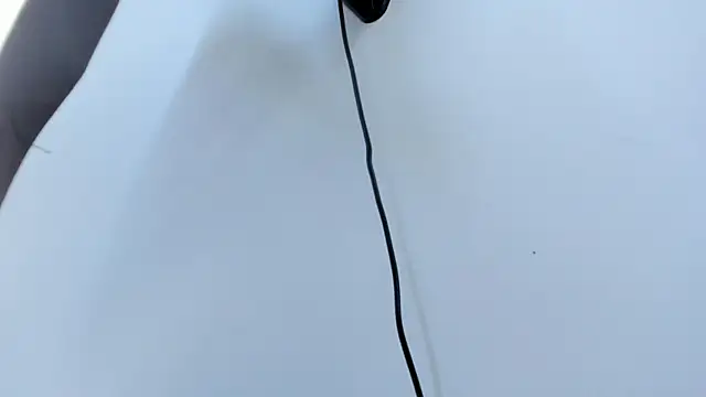 AbigailWilliams  online show from 10.18.25