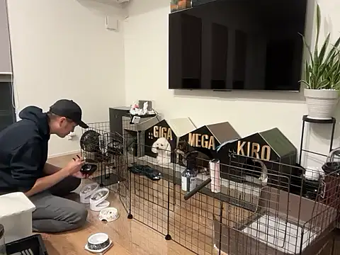 kensnb online show from 10.21.25