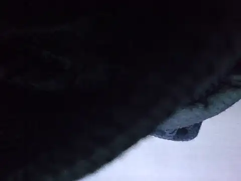 Snapshot of exmilitary chatting on 02.15.26 exmilitary online show from 02.15.26