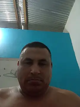 Pipuloc online show from 06.11.26