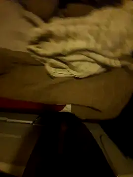 the666D online show from 03.29.26