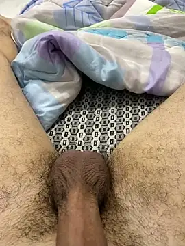 Snapshot of dzpoweralg chatting on 02.13.25 dzpoweralg online show from 02.13.25