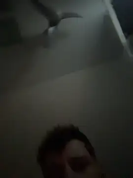 janberlin online show from 02.25.26