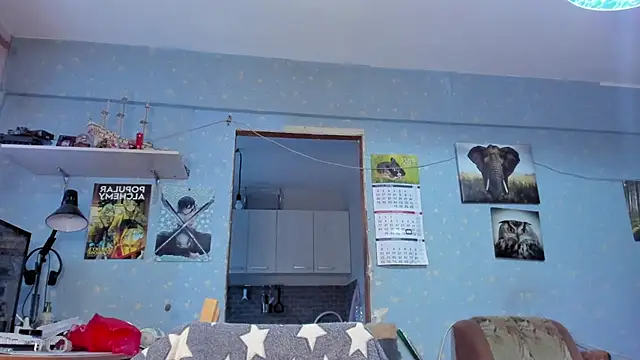 teddy alan online show from 01.26.25