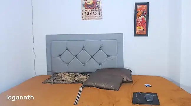 Snapshot of logannth chatting on 01.04.25 logannth online show from 01.04.25