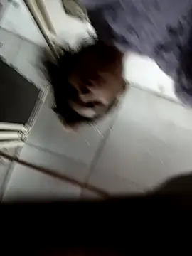 zoya khan25 online show from 12.28.24