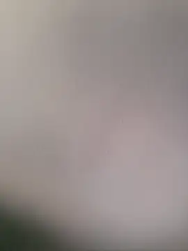 Snapshot of PunchedNorvasc chatting on 12.04.25 PunchedNorvasc online show from 12.04.25