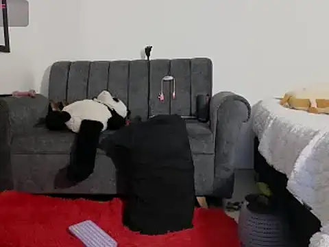 Katt BDSM online show from 02.13.25