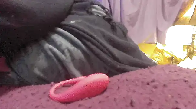 Alli Kat online show from 01.11.25