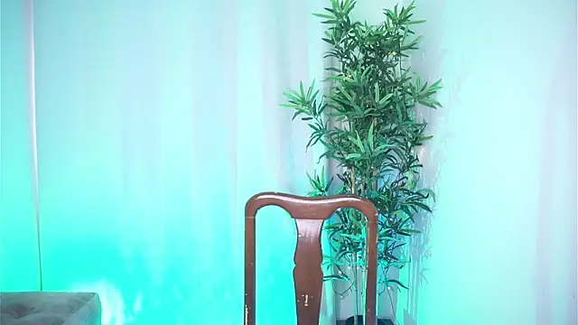 Snapshot of dam0n_fr0st chatting on 12.02.25 dam0n fr0st online show from 12.02.25