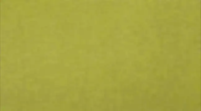 Snapshot of AnneGagner chatting on 03.09.25 AnneGagner online show from 03.09.25