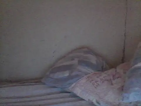 Snapshot of pornstarbrezillian chatting on 11.13.25 pornstarbrezillian online show from 11.13.25