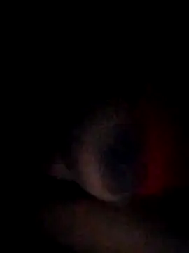 Snapshot of pornstarbrezillian chatting on 11.15.25 pornstarbrezillian online show from 11.15.25