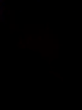 Snapshot of pornstarbrezillian chatting on 11.24.25 pornstarbrezillian online show from 11.24.25