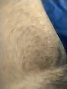 jellydicks online show from 03.04.26