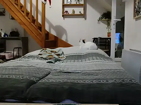 Lauzo21 online show from 12.05.25