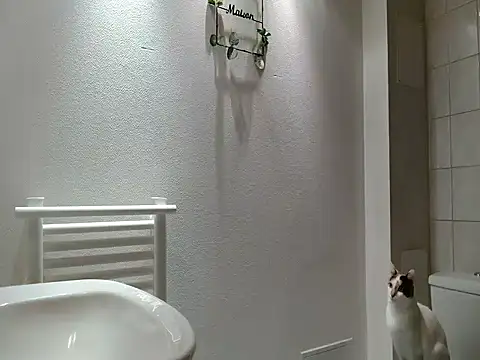 Lauzo21 online show from 03.20.26