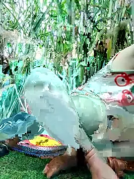 Betty20zx online show from 11.12.25