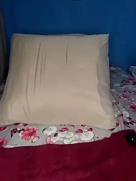 Snapshot of NunuBerry16 chatting on 02.20.25 NunuBerry16 online show from 02.20.25