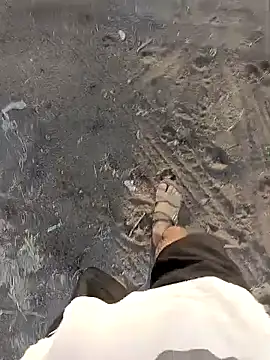 Piyush 2024 online show from 03.26.26