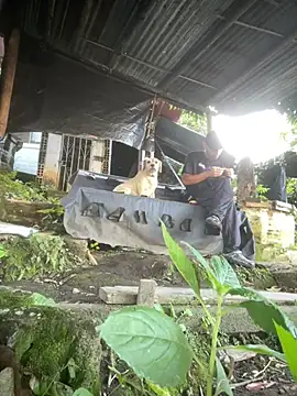 Jestebanano online show from 03.16.26