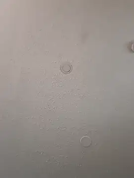 Snapshot of geilerschwanz64 chatting on 01.06.25 geilerschwanz64 online show from 01.06.25