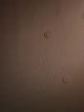 Snapshot of geilerschwanz64 chatting on 03.20.25 geilerschwanz64 online show from 03.20.25