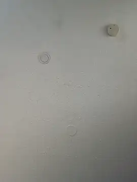 Snapshot of geilerschwanz64 chatting on 03.20.25 geilerschwanz64 online show from 03.20.25