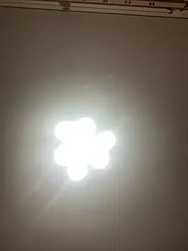 Janet Welder online show from 12.20.24