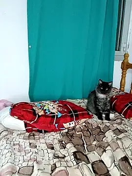 sama0012 online show from 02.19.25