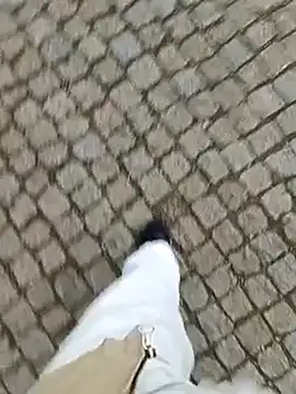 domexib online show from 02.15.25