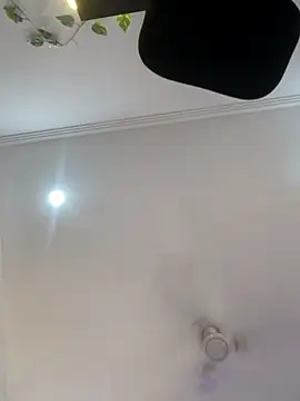 Archi-07 online show from 10.24.25