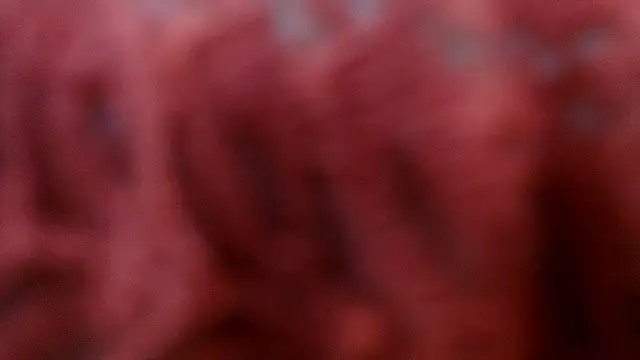 AretiAlisya online show from 04.15.26