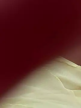 Snapshot of lariic chatting on 03.31.26 lariic online show from 03.31.26