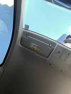 Snapshot of lariic chatting on 04.02.26 lariic online show from 04.02.26