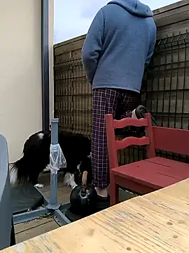 bogland33 online show from 03.13.25