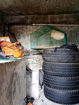 Elvishcassie  online show from 10.01.25