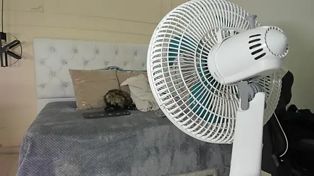 Snapshot of Slut_Milf_ chatting on 01.23.25 Slut Milf online show from 01.23.25