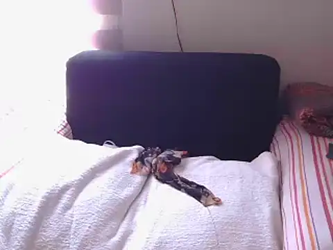 Mollybrookexx online show from 12.11.24