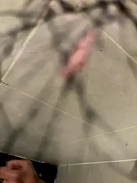 Snapshot of lescro95_ chatting on 12.02.25 lescro95 online show from 12.02.25