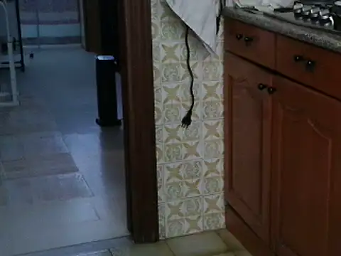 VeneRed online show from 10.13.25