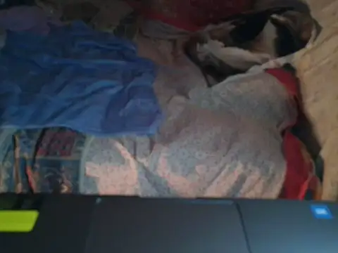 VeneRed online show from 01.17.26