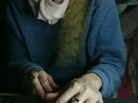 VeneRed online show from 03.02.26