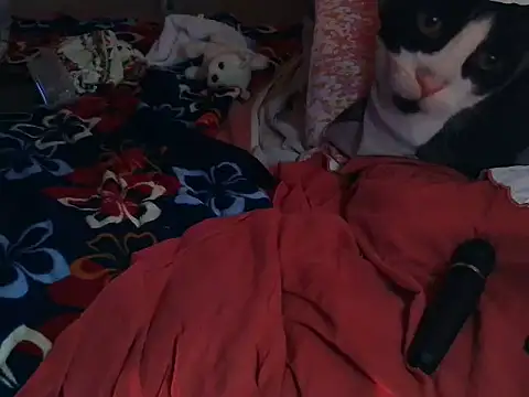 VeneRed online show from 03.08.26