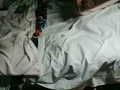 VeneRed online show from 04.15.26