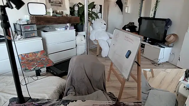 Snapshot of CeriseLapine chatting on 01.11.26 CeriseLapine online show from 01.11.26