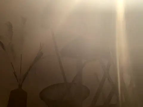 mesetti online show from 12.08.24