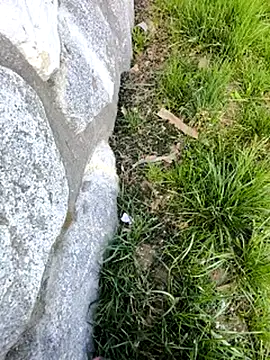 DrownMentallyyy online show from 03.22.25