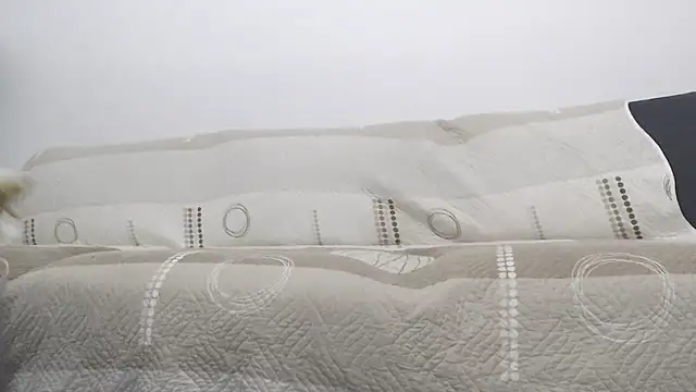 Snapshot of ForeverBarbie_ chatting on 01.03.25 ForeverBarbie online show from 01.03.25