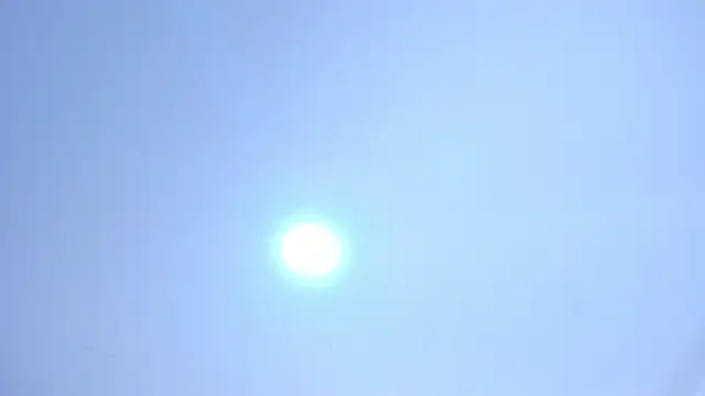 Violet Grace online show from 03.13.25